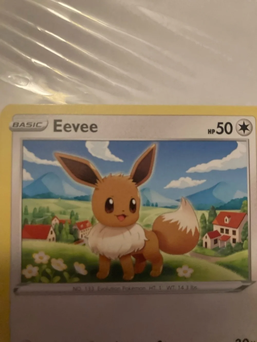 Pokemon Eevee Trading Card Yellow Border Blue Sky Artwork